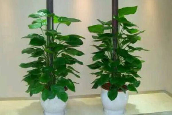 green pillar