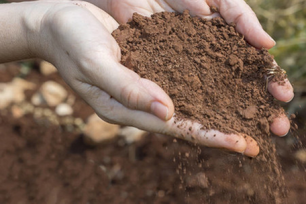 soil