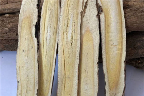 Radix Astragali