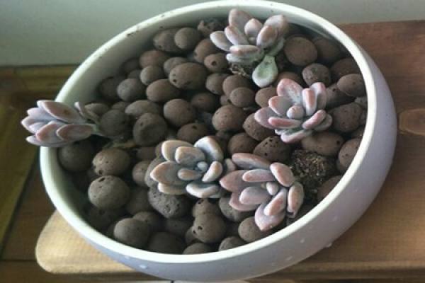 Ceramsite