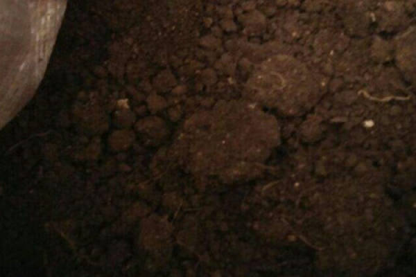 Garden soil