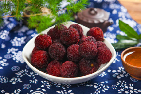 Arbutus