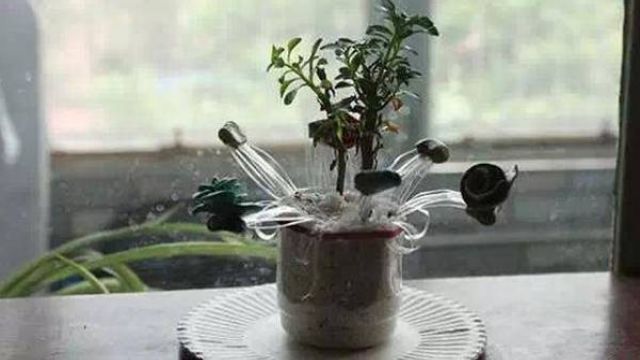 塑料瓶编花造型花盆教程