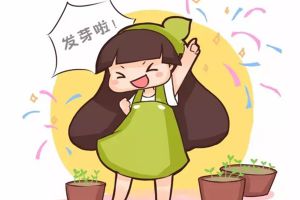 學(xué)會這種方法，啥花都能種活