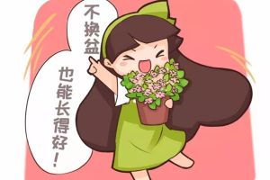 他養(yǎng)花十年沒換過盆，年年花開滿枝，只因?yàn)樽隽诉@個(gè)