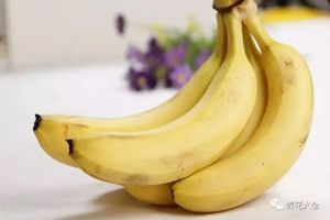香蕉自制营养液，简单又好用