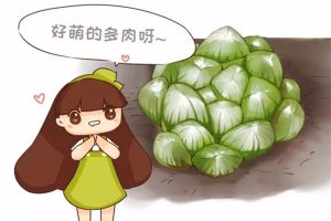 5月不養(yǎng)多肉？后悔去吧