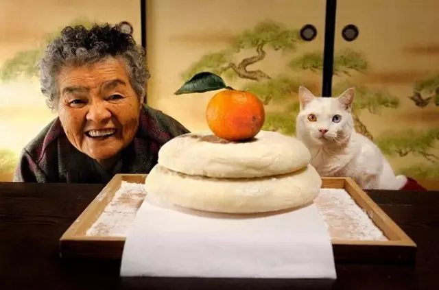 90岁奶奶与一只耳聋猫，度过11年田园生活，感动了无数人！