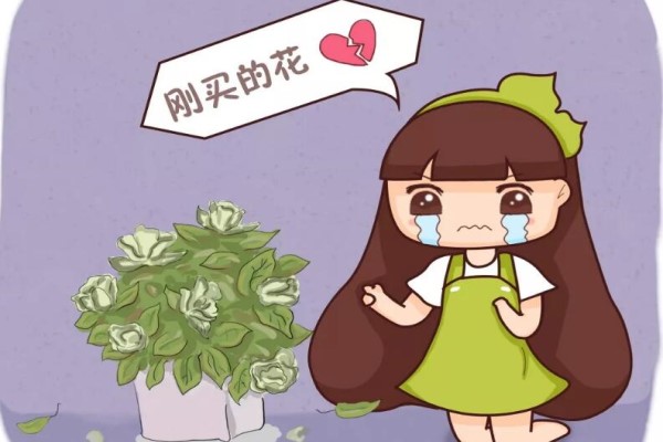 入秋別買這5種花，回家3天花苞全掉，再便宜都虧!