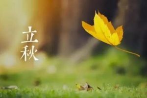 立秋后就喝這3湯，去濕氣補(bǔ)血?dú)?，一覺(jué)睡到大天亮！