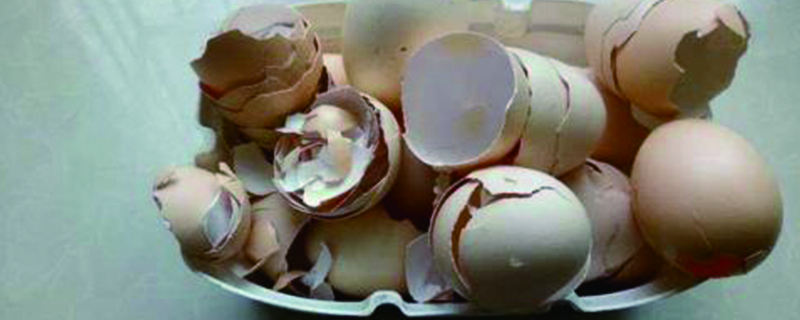 鸡蛋壳可以做花肥吗，哪些花可以用鸡蛋壳