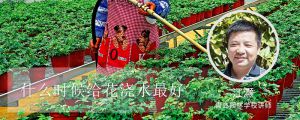 什么時(shí)候給花澆水最好