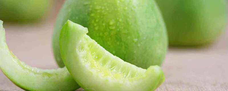 香瓜的养殖方法