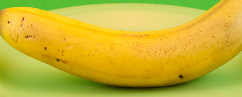 香蕉从种植到成熟需要多少时间