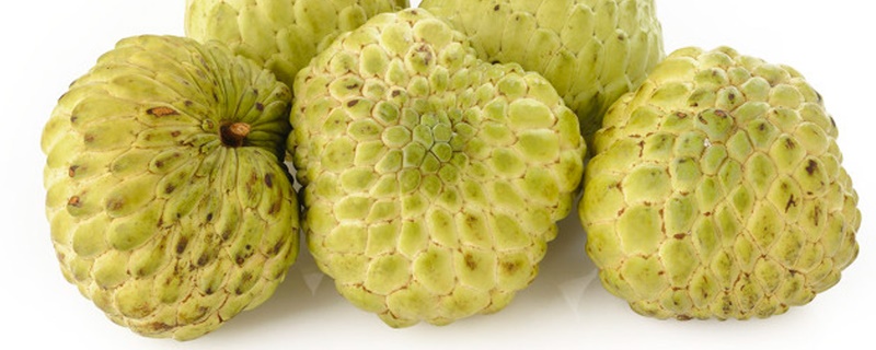 释迦果怎么催熟