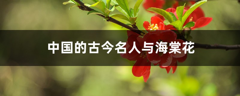 中国的古今名人与海棠花