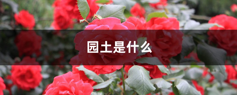 園土是什么