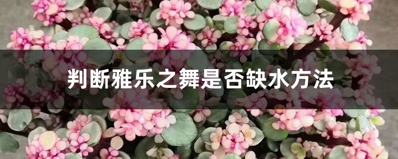 判斷雅樂之舞是否缺水方法