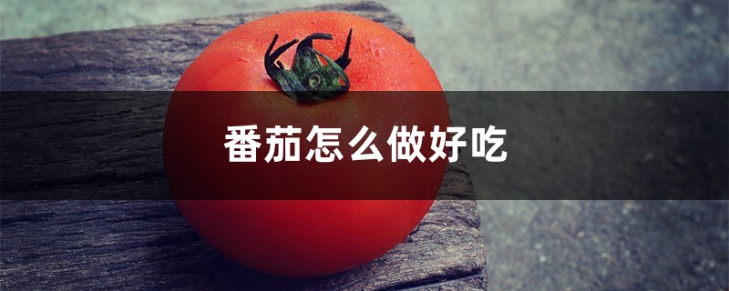 番茄怎么做好吃，番茄怎么去皮