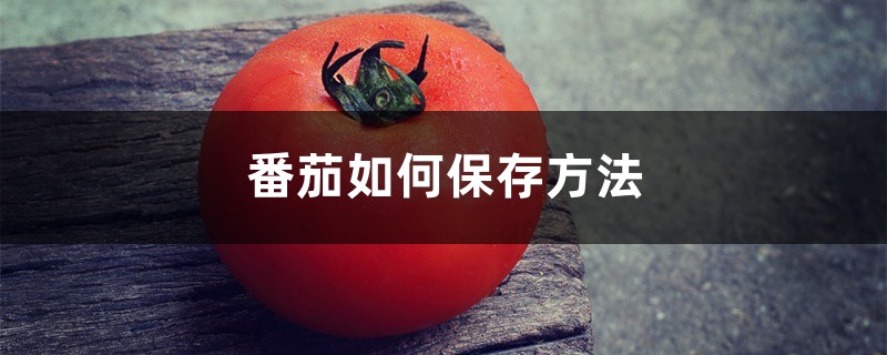 番茄如何保存方法，番茄保存几天