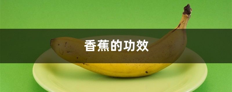 香蕉的功效作用和营养价值