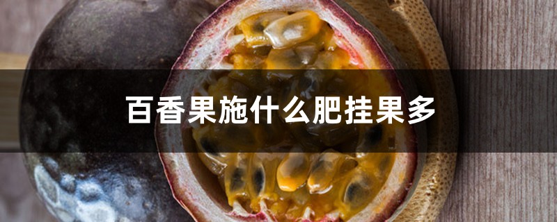 百香果施什么肥掛果多