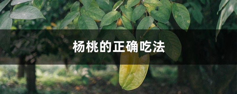 杨桃的正确吃法，不能和什么一起吃